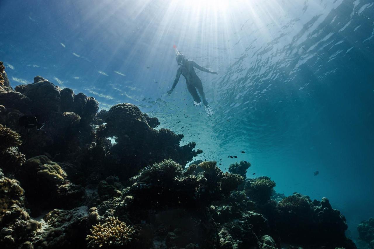 Siyam World Maldives - 24-hour Premium With Free Transfer 5* Dhigurah (Noonu Atoll)