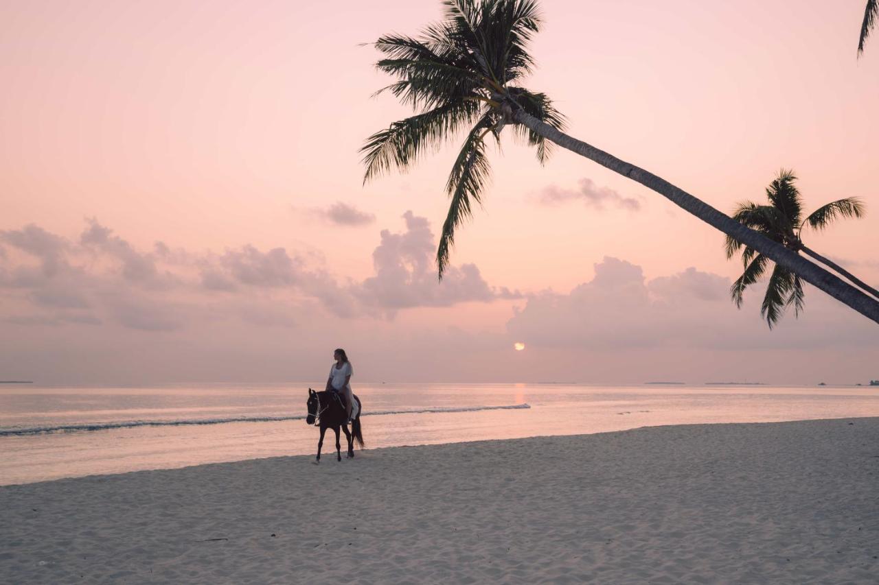 Siyam World Maldives - 24-hour Premium With Free Transfer Dhigurah (Noonu Atoll)